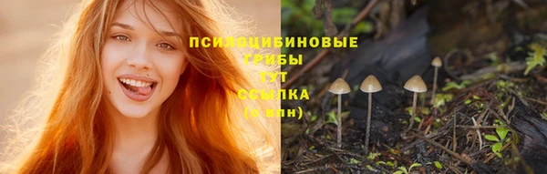 скорость Абаза