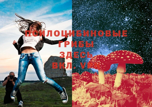 спиды Нея