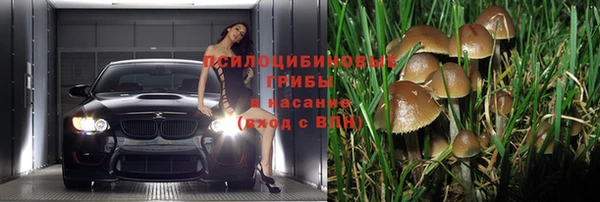 спиды Нея