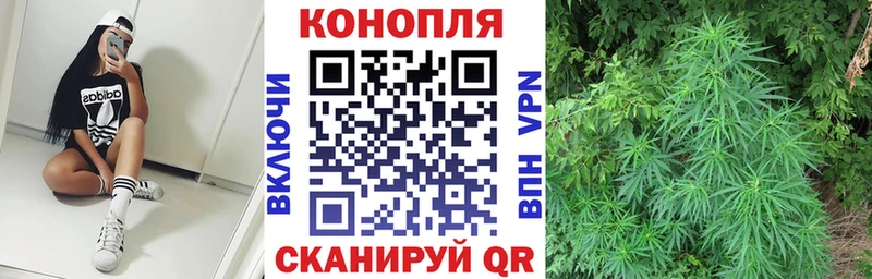 Шишки марихуана Ganja Правдинск
